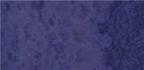Group Banner Picture